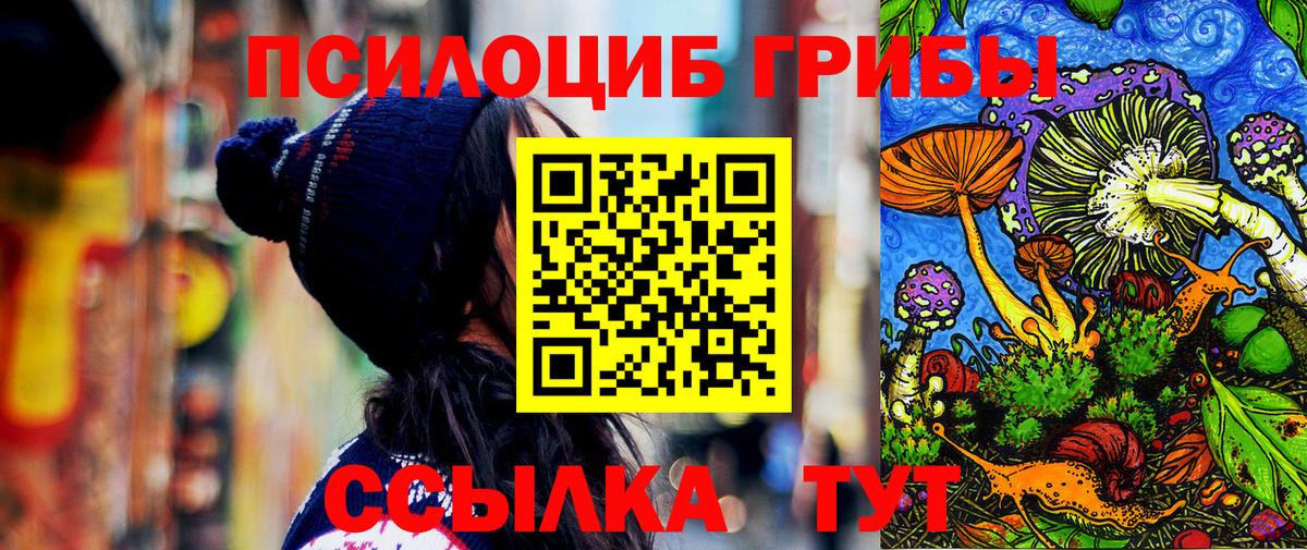 Псилоцибиновые грибы Psilocybine cubensis Михайловка
