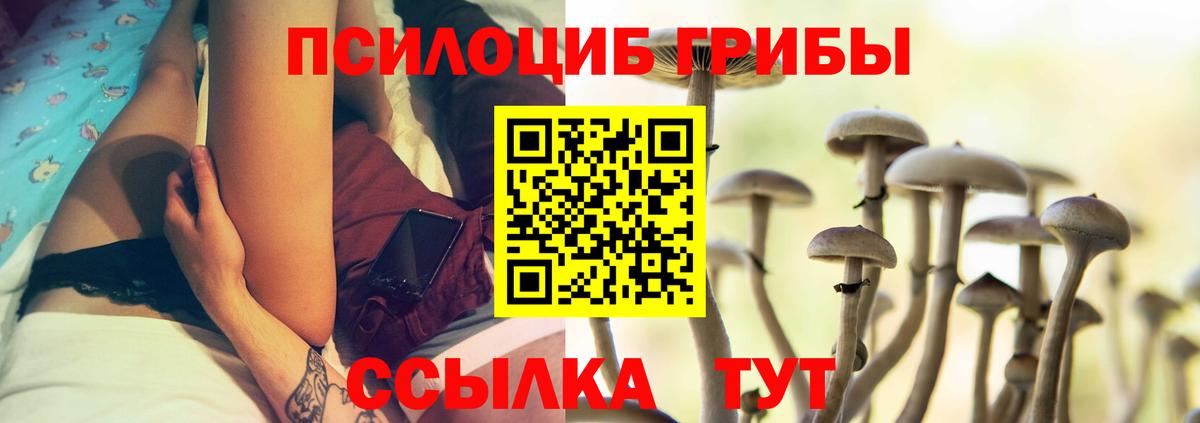 Галлюциногенные грибы прущие грибы  Галлюциногенные грибы GOLDEN TEACHER  Михайловка  Вход с VPN 